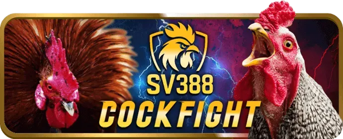 Trò chơi slot mới vp88
