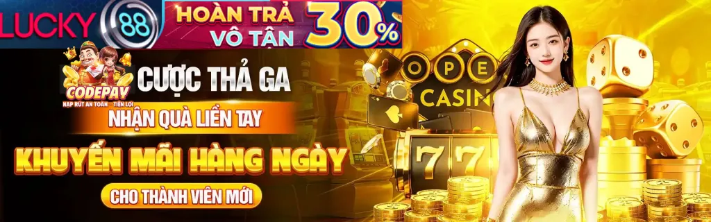 Thời hạn khuyến mãi VP88